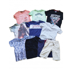 Lot t-shirt shorts garçon...
