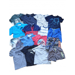 Lot t-shirt shorts garçon...